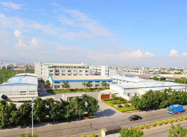 Company size