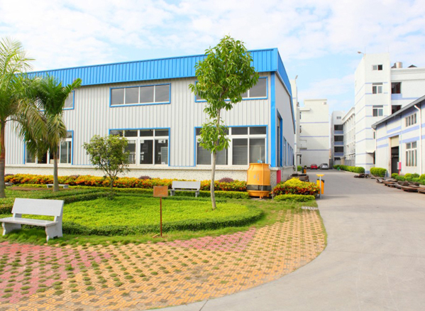 Company size