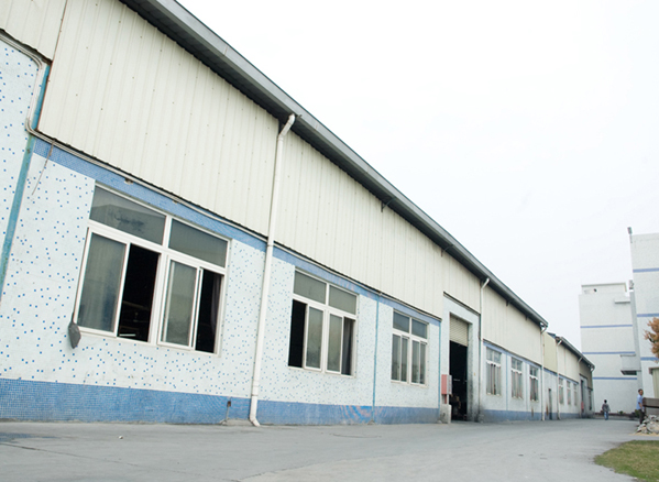 Company size